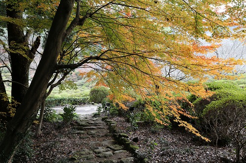 御船山楽園29