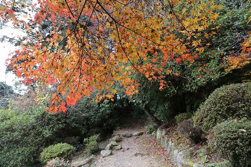 御船山楽園21