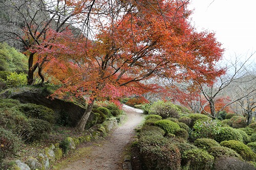 御船山楽園22