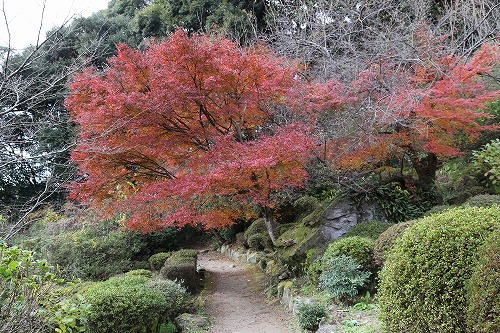 御船山楽園30