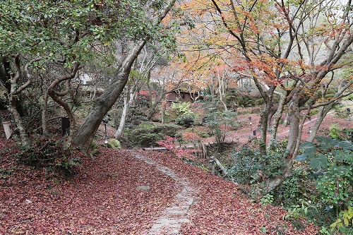 御船山楽園23