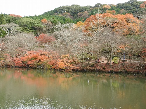 御船山楽園31
