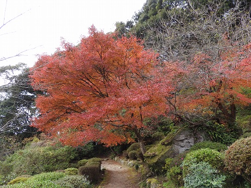 御船山楽園17