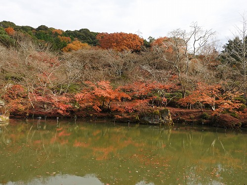 御船山楽園4