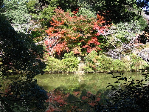 御船山楽園3