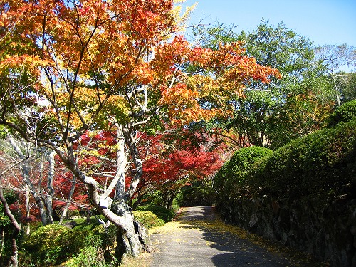 御船山楽園1