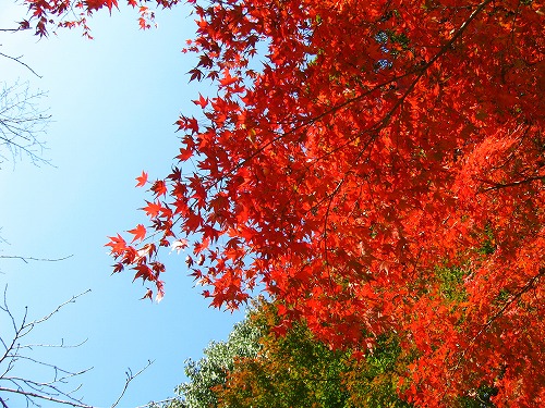 御船山楽園2