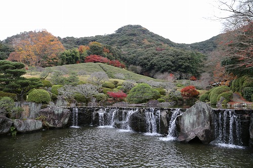 慧洲園5