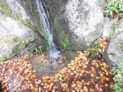 慧洲園7
