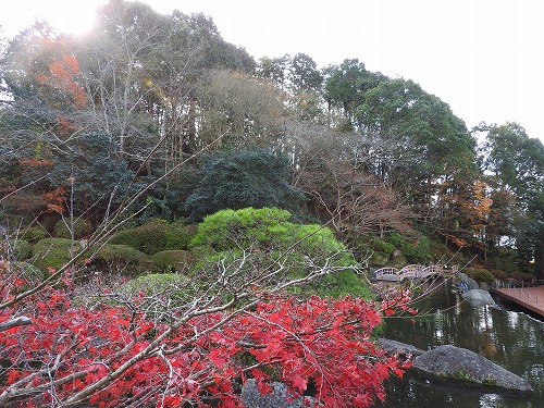 慧洲園5