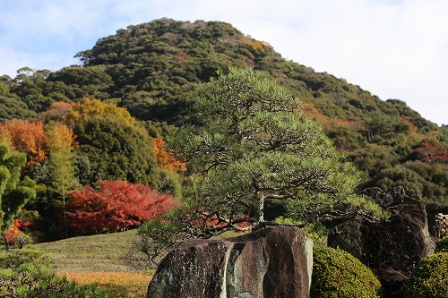 慧洲園2