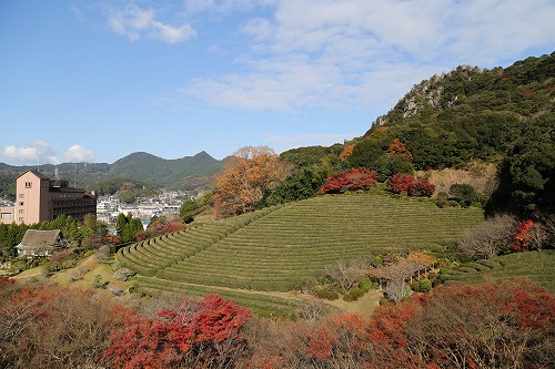 慧洲園4