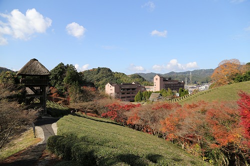 慧洲園5