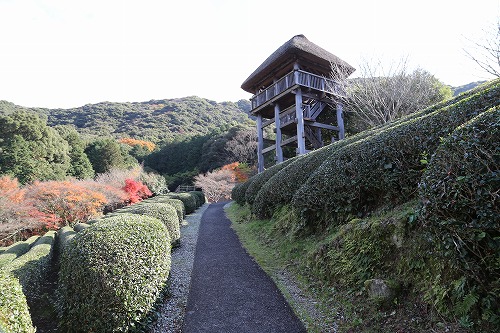 慧洲園7