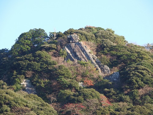 慧洲園39