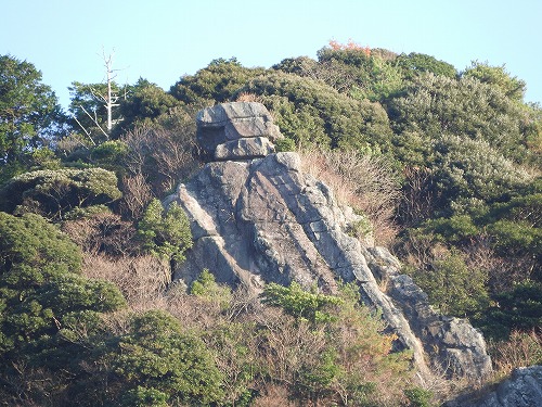 慧洲園40