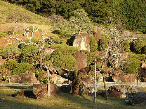 慧洲園49