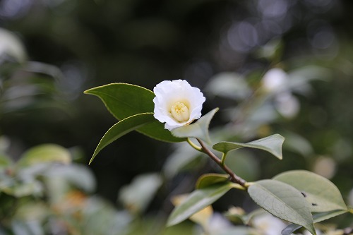 陽光美術館7