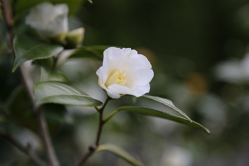 陽光美術館8