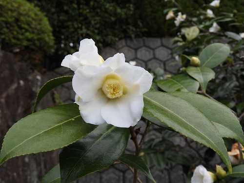 陽光美術館6