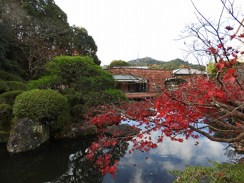 陽光美術館4