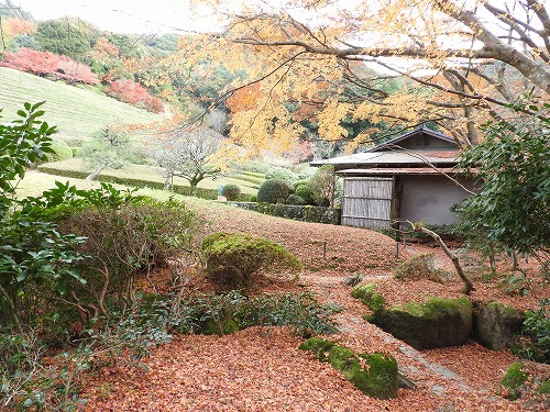 みふね茶屋15