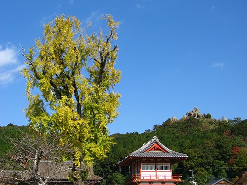 西福寺6