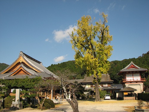西福寺4