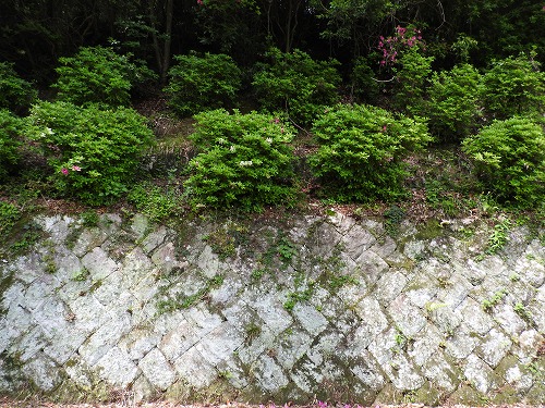 梅林山荘12