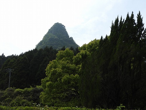 梅林山荘17