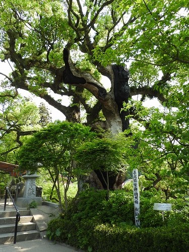 與止日女神社16