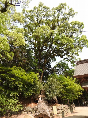 與止日女神社31