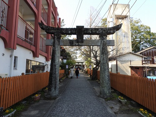 豊玉姫神社5