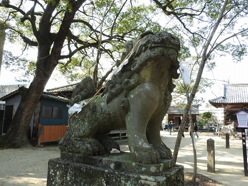 豊玉姫神社8