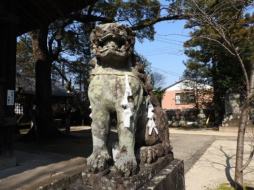 豊玉姫神社13