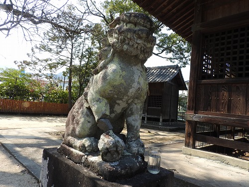 豊玉姫神社14