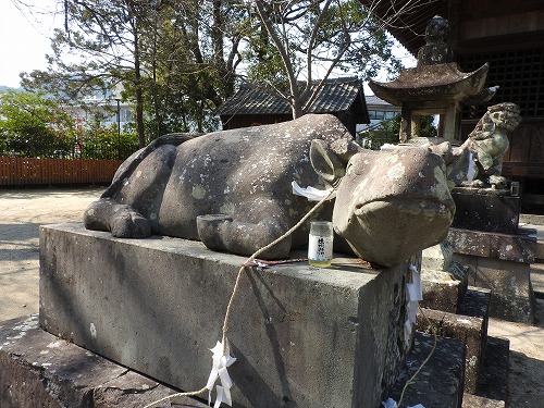 豊玉姫神社15