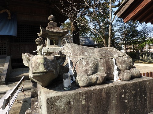 豊玉姫神社16