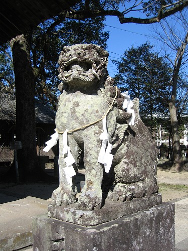 豊玉姫神社34