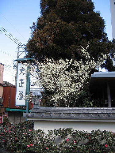 大正屋2