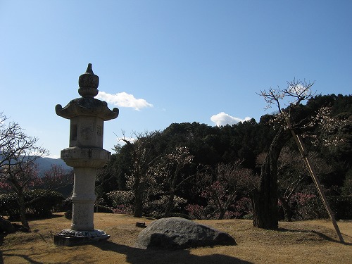 みゆき公園2