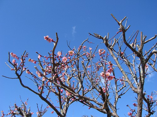 みゆき公園4