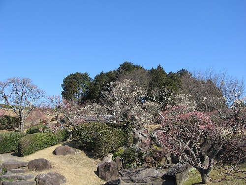 みゆき公園5