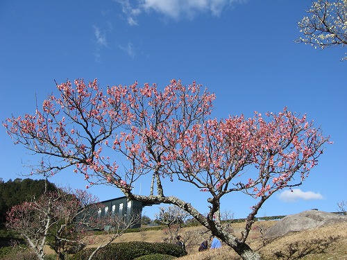 みゆき公園7