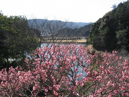 みゆき公園10