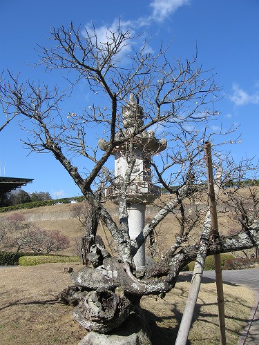 みゆき公園27