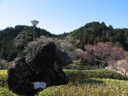 みゆき公園13