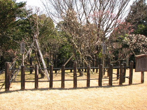 みゆき公園15