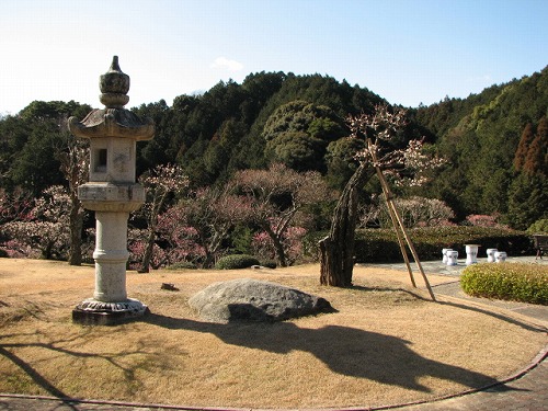 みゆき公園14