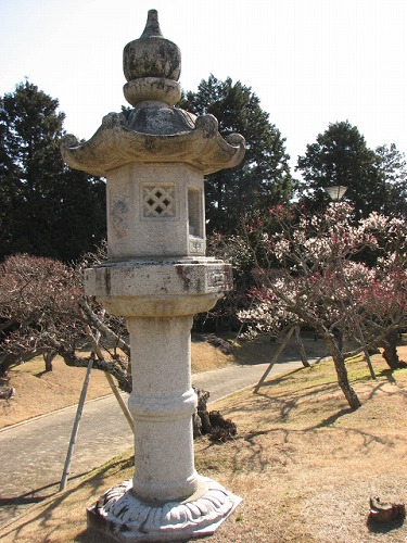 みゆき公園28